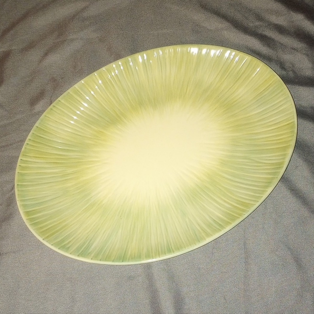 Pfaltzgraff Garden of Eden Oval Steak Platter